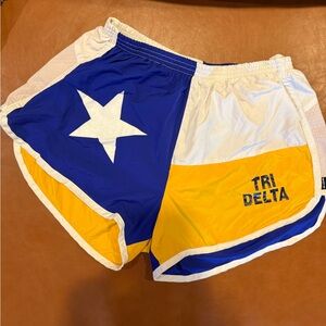 Tri Delta Women's Tri Delta Colorblock Shorts - Blue, White, Yellow